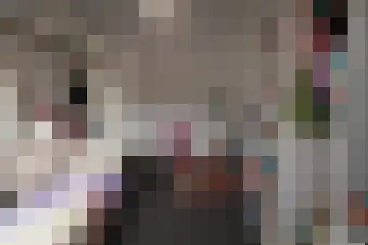 Bretagnesingel 142 Heteren thumbnail 16