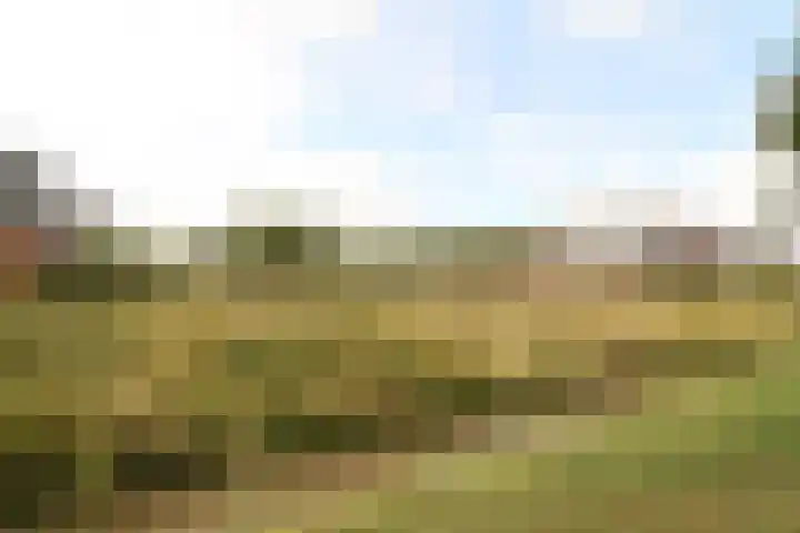 Bretagnesingel 142 Heteren thumbnail 24