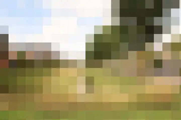 Bretagnesingel 142 Heteren thumbnail 25