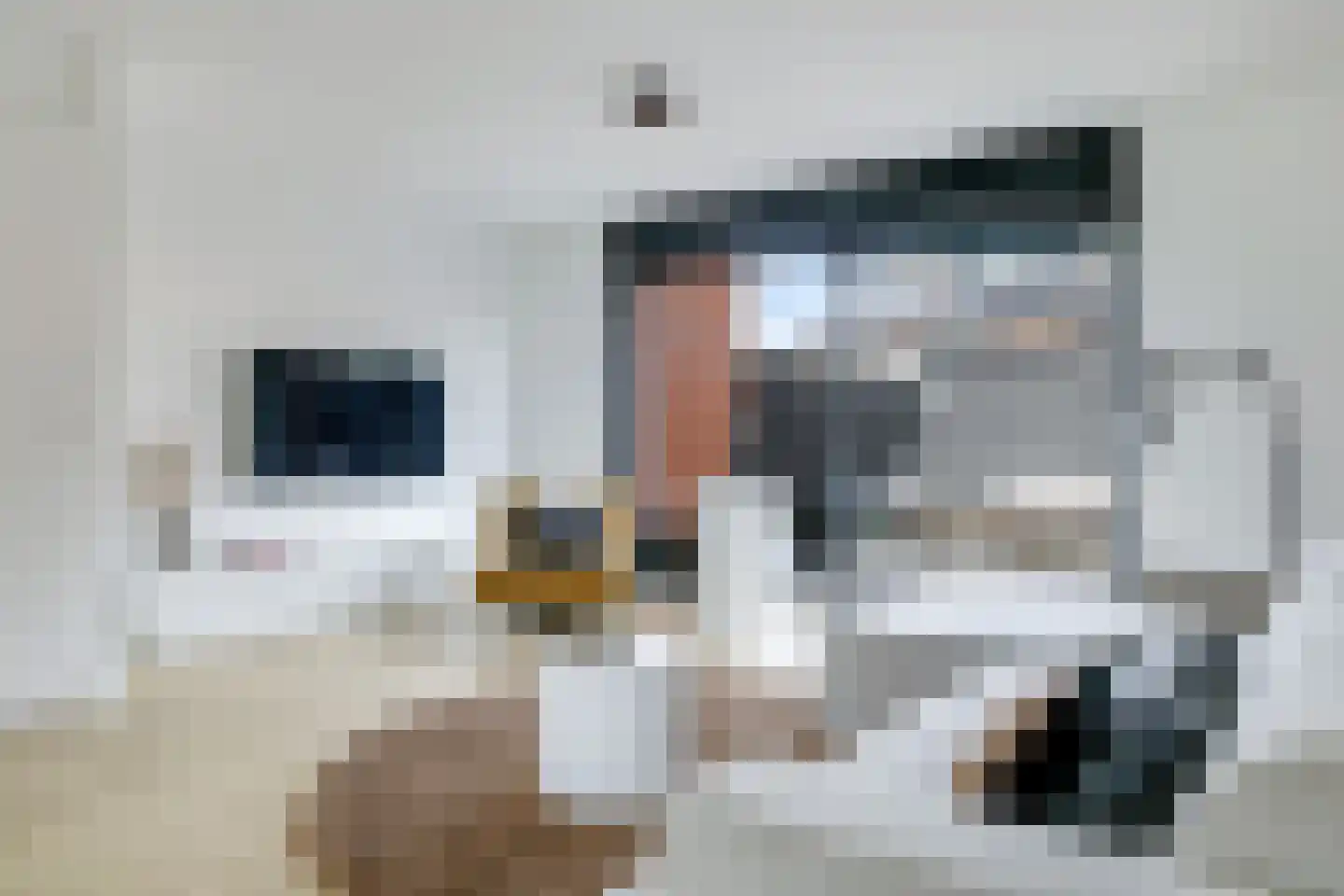 Bretagnesingel 38 Heteren thumbnail 14