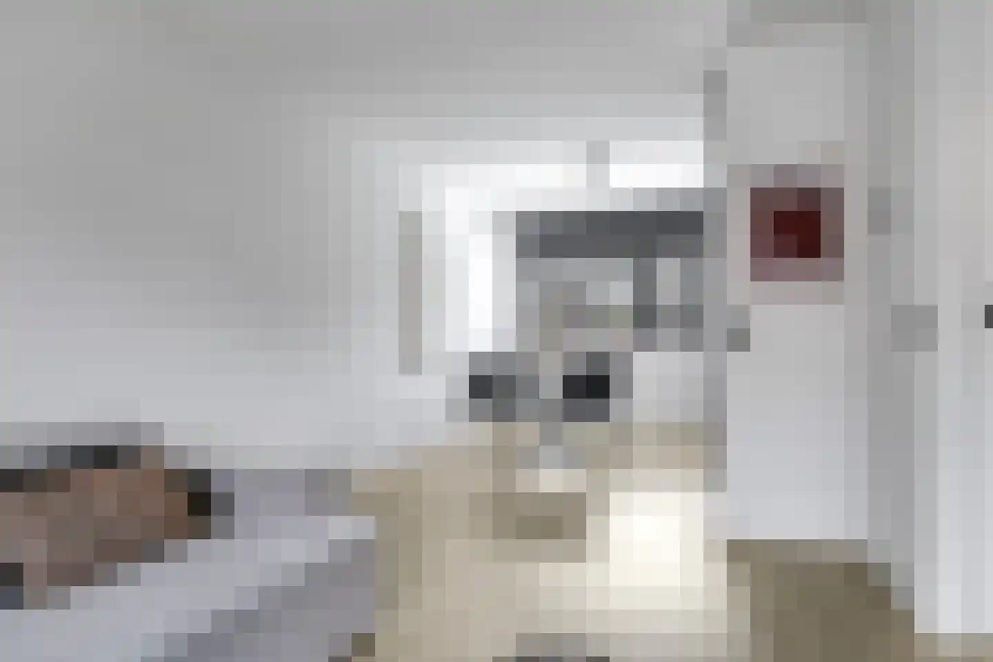Bretagnesingel 38 Heteren thumbnail 19