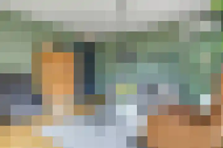 Bretagnesingel 4 Heteren thumbnail 11