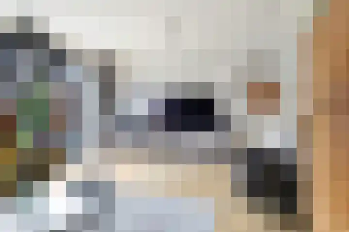 Bretagnesingel 4 Heteren thumbnail 13