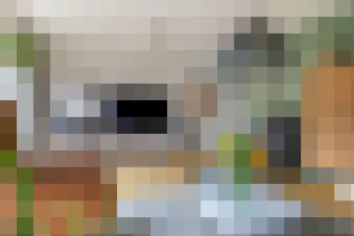 Bretagnesingel 4 Heteren thumbnail 15