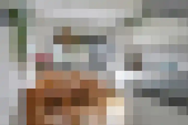 Bretagnesingel 4 Heteren thumbnail 17