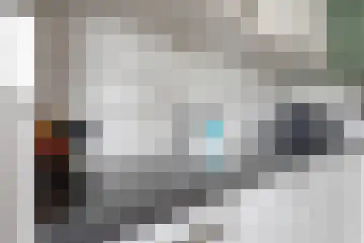 Bretagnesingel 4 Heteren thumbnail 20