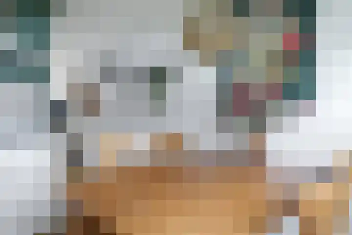 Bretagnesingel 4 Heteren thumbnail 21