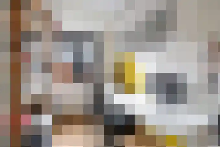 Bretagnesingel 4 Heteren thumbnail 29