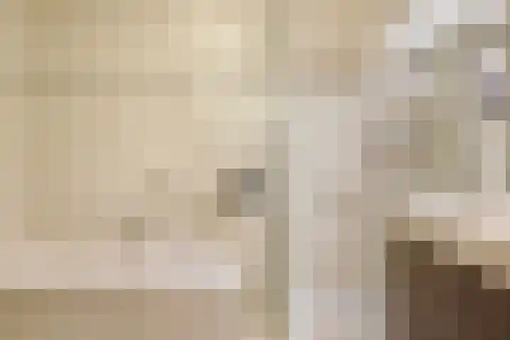 Bretagnesingel 4 Heteren thumbnail 30