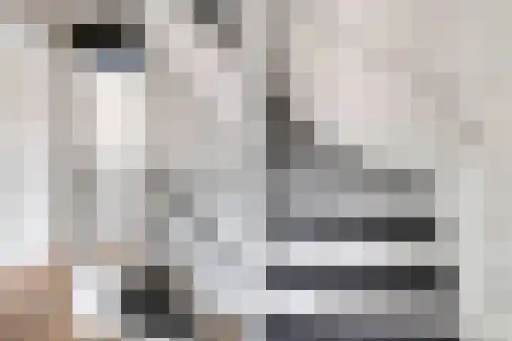 Bretagnesingel 4 Heteren thumbnail 33