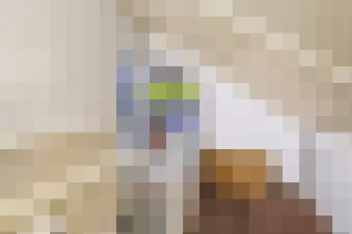 Bretagnesingel 4 Heteren thumbnail 36