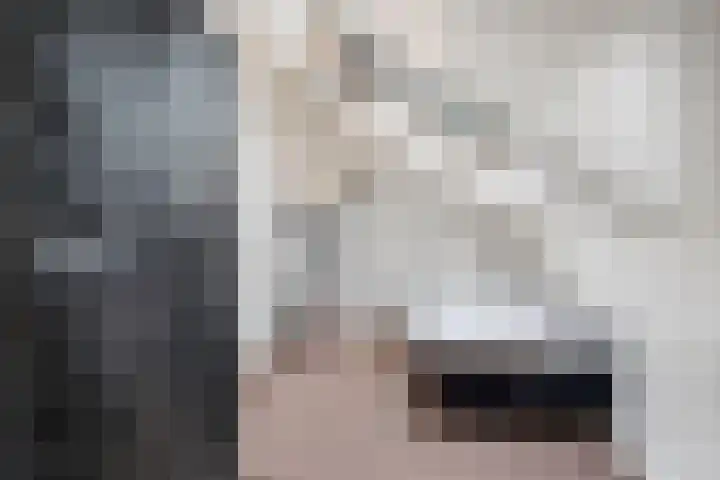 Bretagnesingel 4 Heteren thumbnail 37