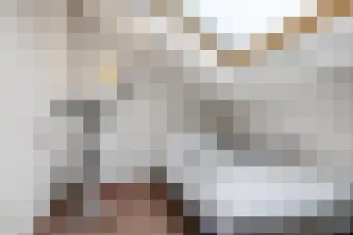Bretagnesingel 4 Heteren thumbnail 38