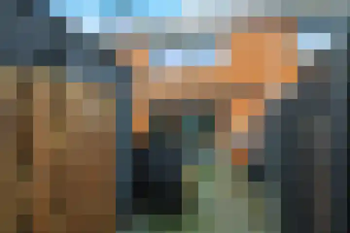 Bretagnesingel 4 Heteren thumbnail 45