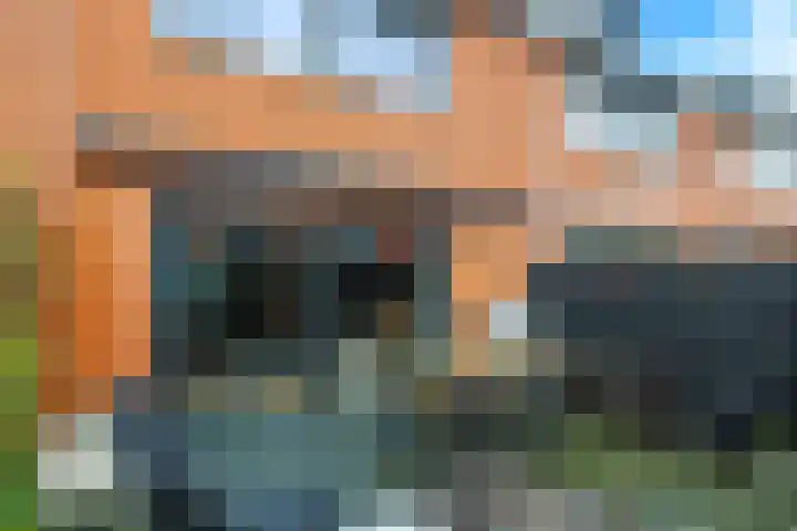 Bretagnesingel 4 Heteren thumbnail 47