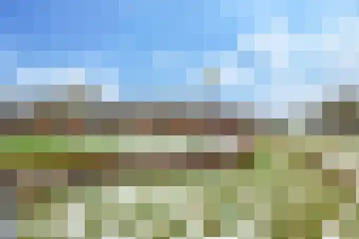 Bretagnesingel 4 Heteren thumbnail 56