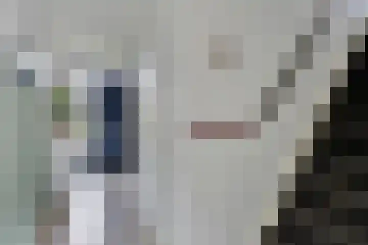 Bretagnesingel 72 Heteren thumbnail 12