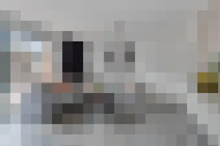 Bretagnesingel 72 Heteren thumbnail 15