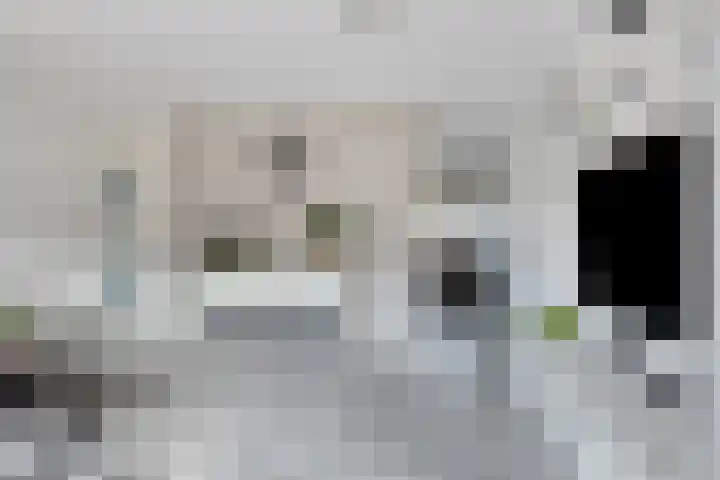 Bretagnesingel 72 Heteren thumbnail 16
