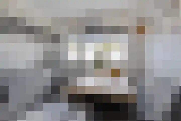 Bretagnesingel 72 Heteren thumbnail 17