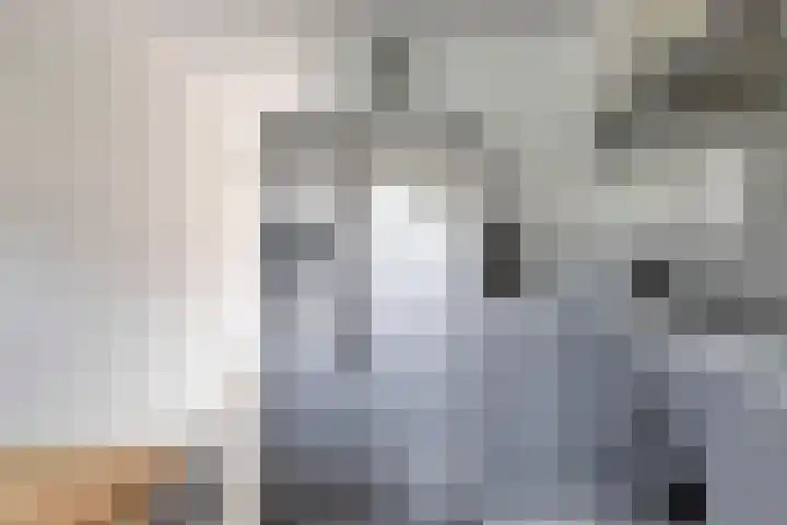 Bretagnesingel 72 Heteren thumbnail 19