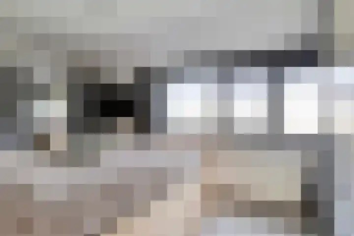 Bretagnesingel 72 Heteren thumbnail 21
