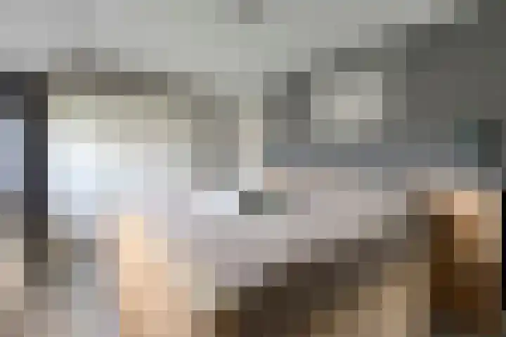 Bretagnesingel 72 Heteren thumbnail 22