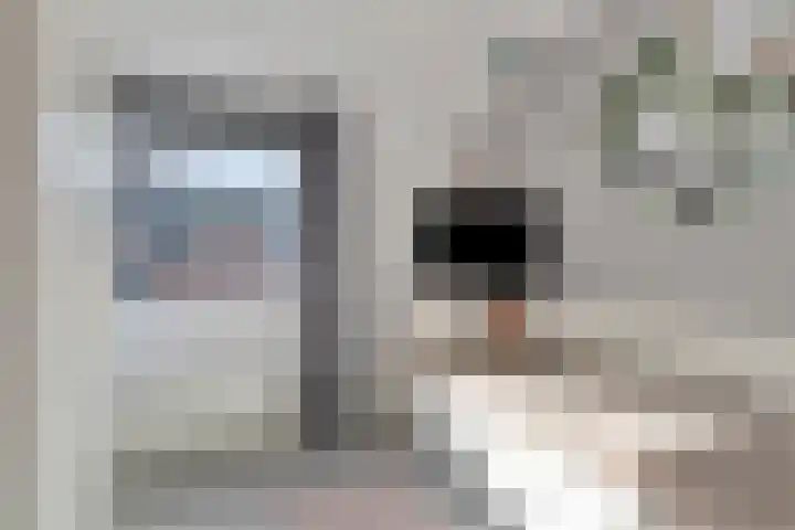 Bretagnesingel 72 Heteren thumbnail 23