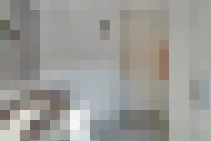 Bretagnesingel 72 Heteren thumbnail 24