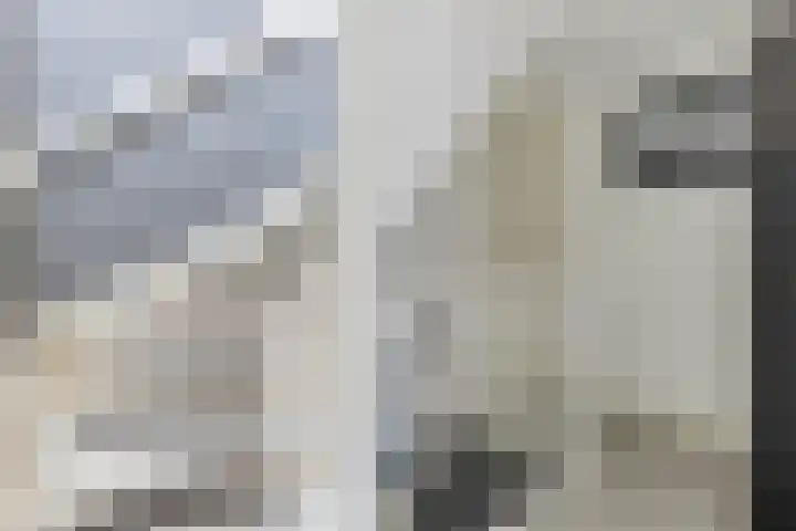 Bretagnesingel 72 Heteren thumbnail 30