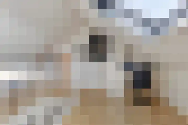 Bretagnesingel 72 Heteren thumbnail 32