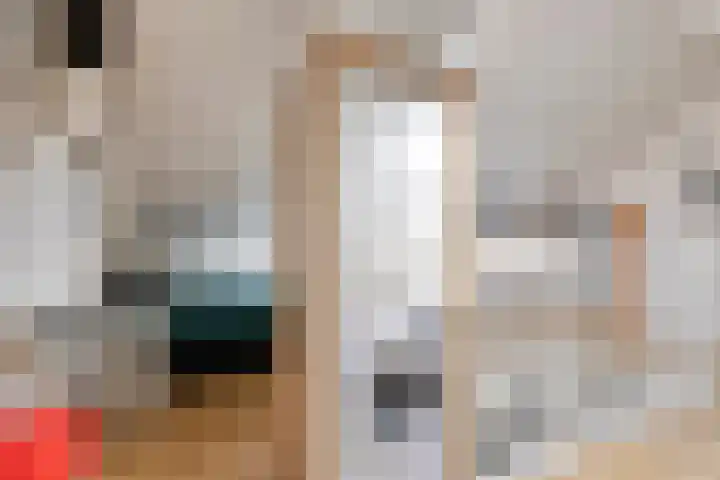 Bretagnesingel 72 Heteren thumbnail 33