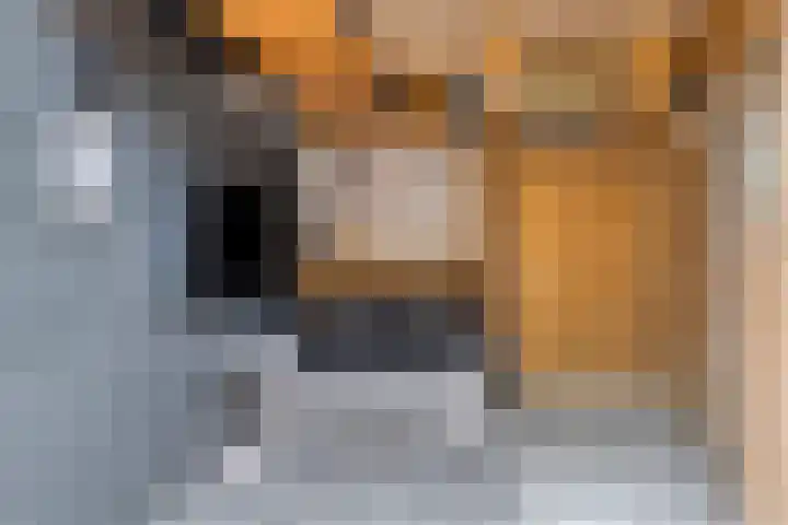 Bretagnesingel 72 Heteren thumbnail 37