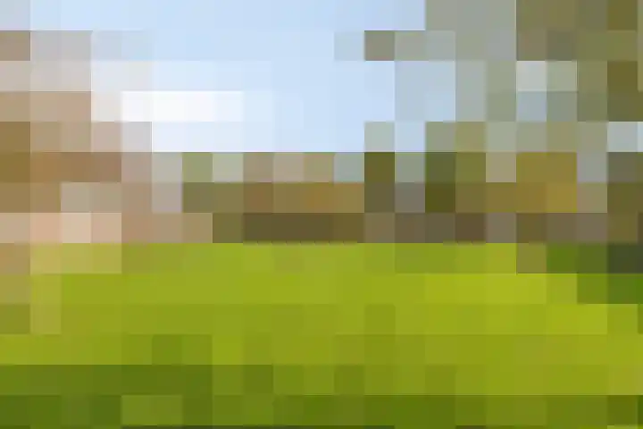 Bretagnesingel 72 Heteren thumbnail 41