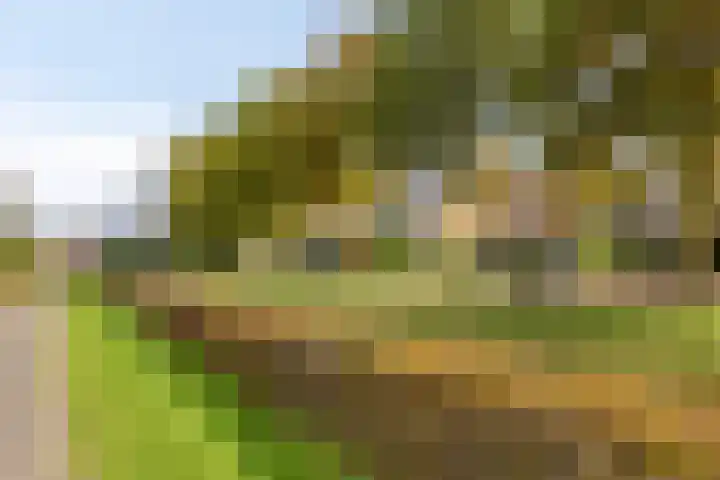 Bretagnesingel 72 Heteren thumbnail 42