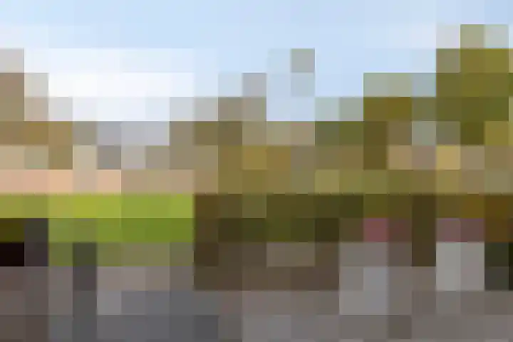 Bretagnesingel 72 Heteren thumbnail 8