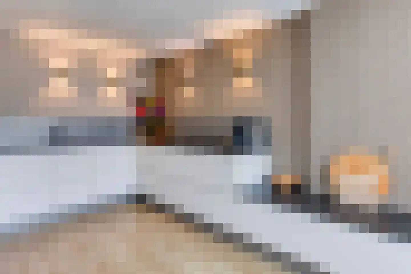 Bretagnestraat 31 Sittard thumbnail 11
