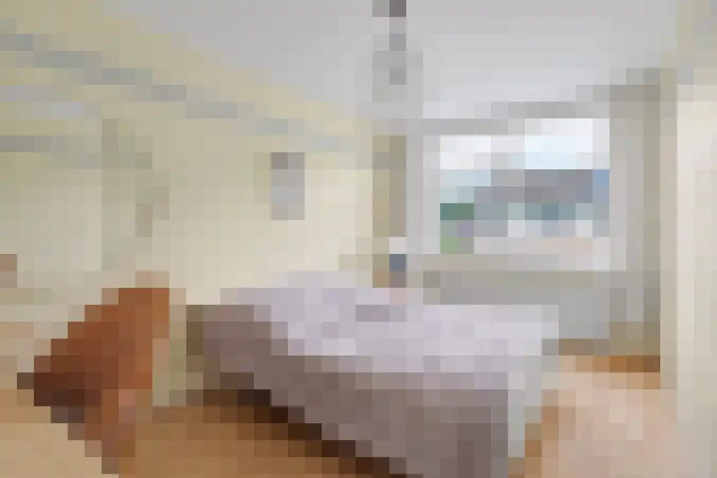 Bretelerhorst 11 Enschede thumbnail 18