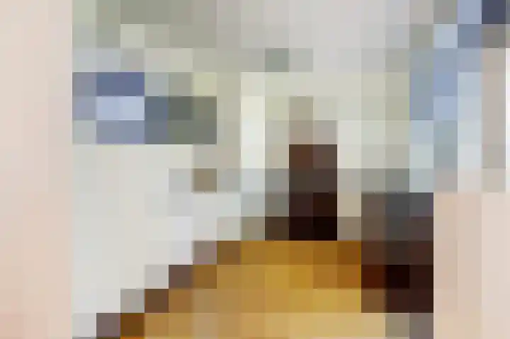 Bretelerhorst 5 Enschede thumbnail 10