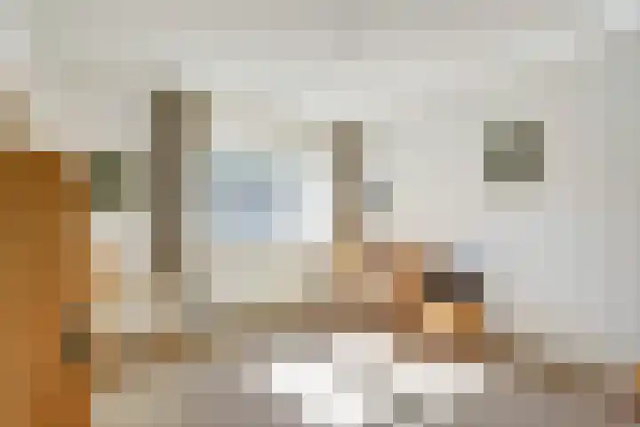 Bretelerhorst 5 Enschede thumbnail 19