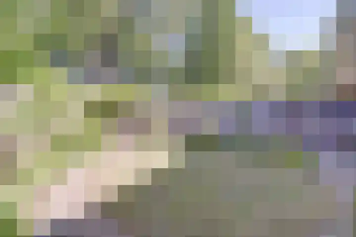 Bretelerhorst 5 Enschede thumbnail 31