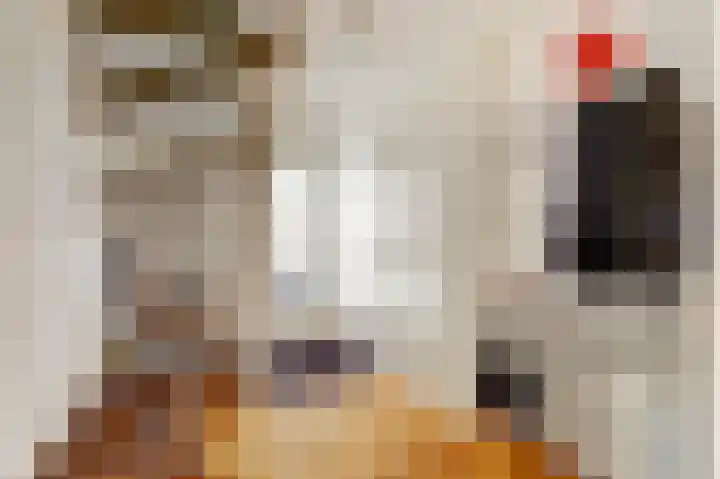 Bretelerhorst 5 Enschede thumbnail 6