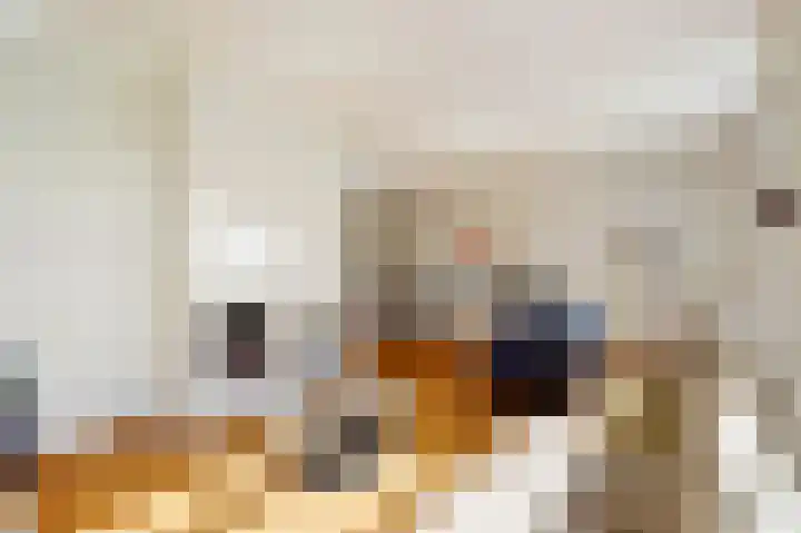 Bretelerhorst 5 Enschede thumbnail 8