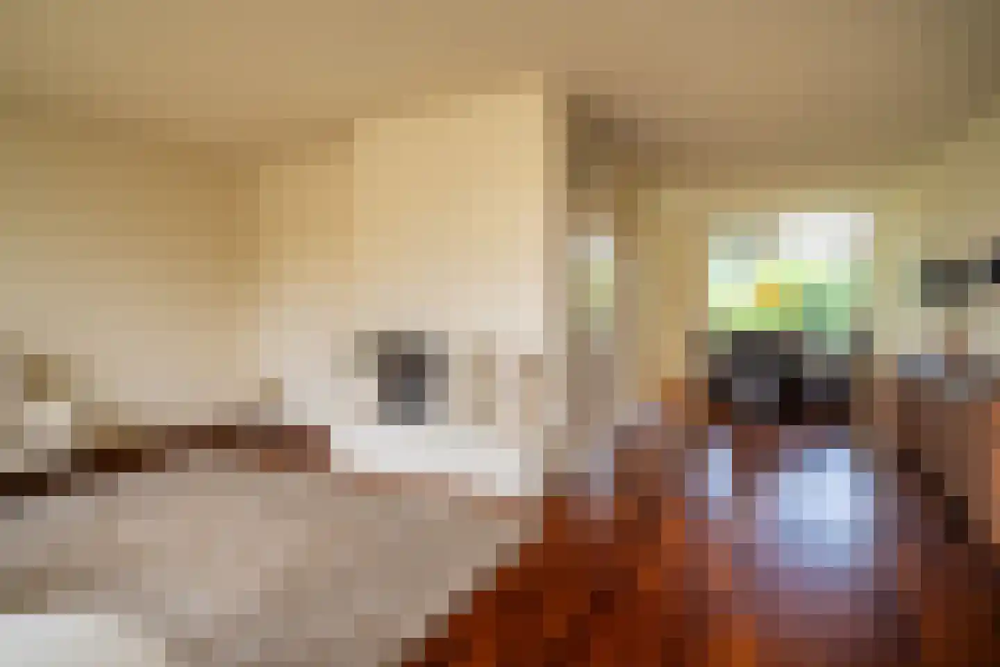 Bretelerhorst 7 Enschede thumbnail 11
