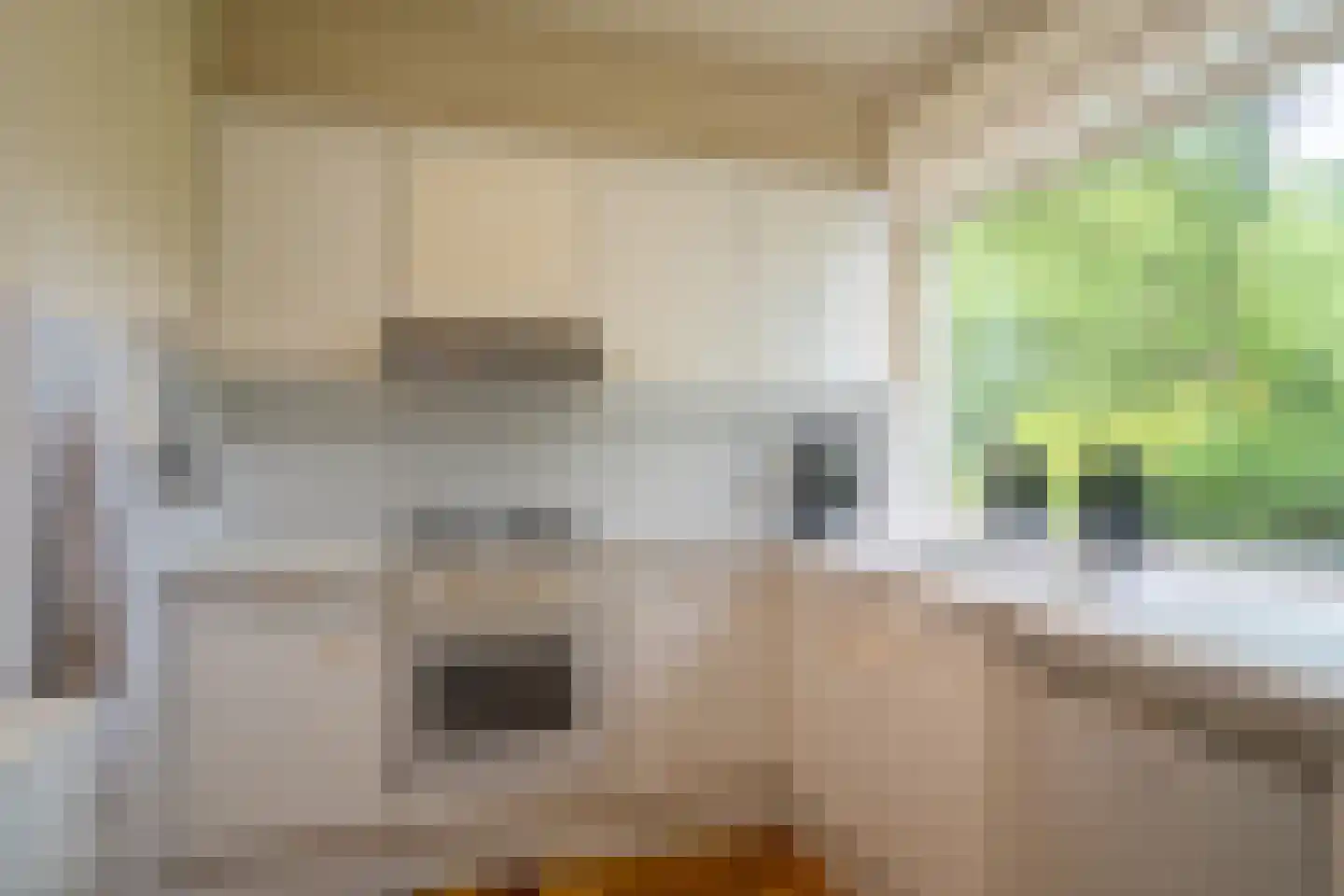 Bretelerhorst 7 Enschede thumbnail 15