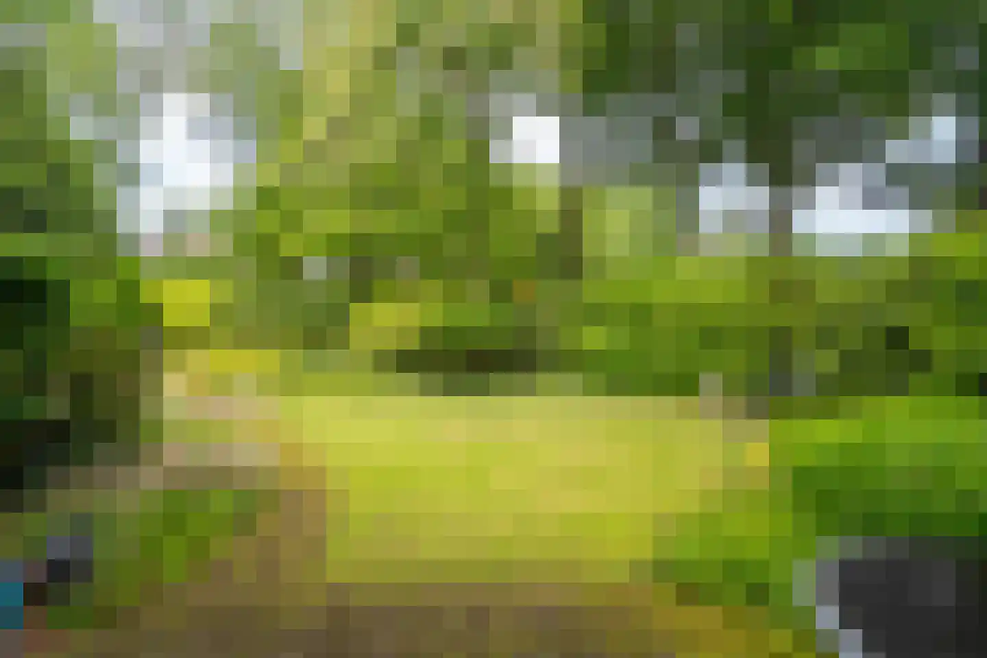 Bretelerhorst 7 Enschede thumbnail 33