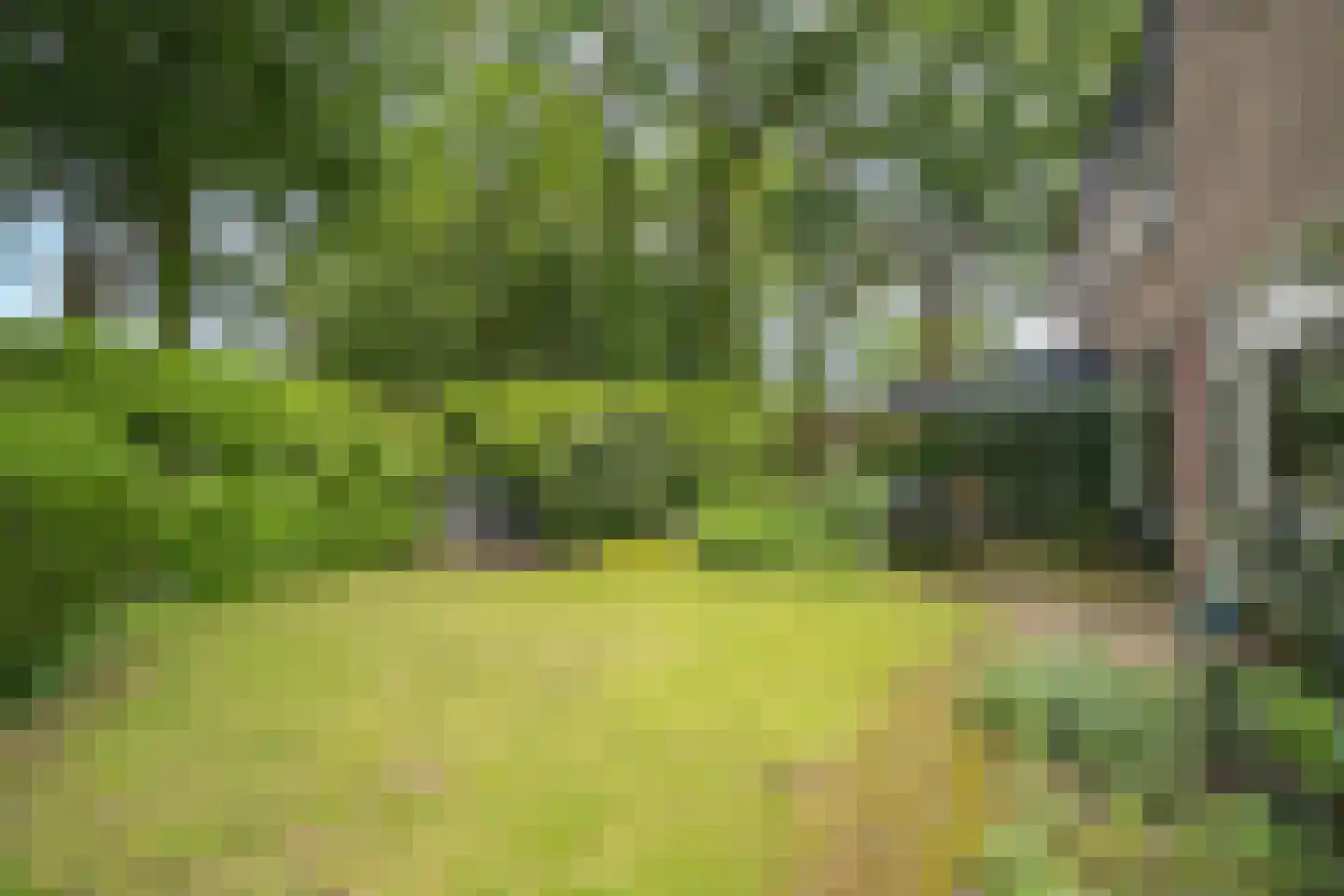 Bretelerhorst 7 Enschede thumbnail 34