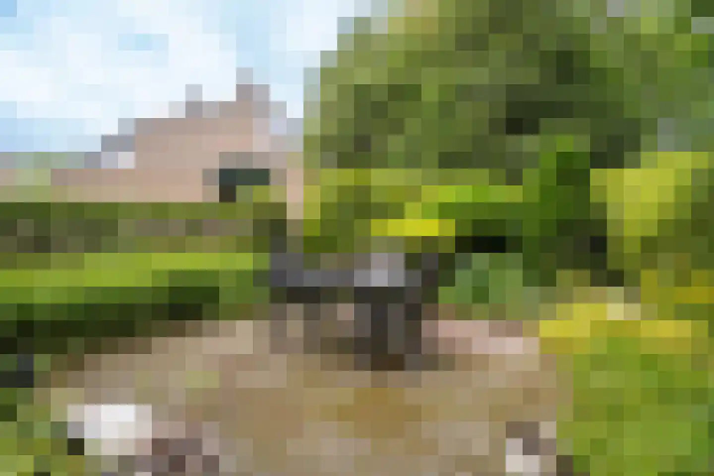 Bretelerhorst 7 Enschede thumbnail 37