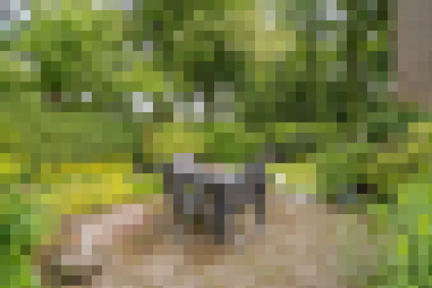 Bretelerhorst 7 Enschede thumbnail 38