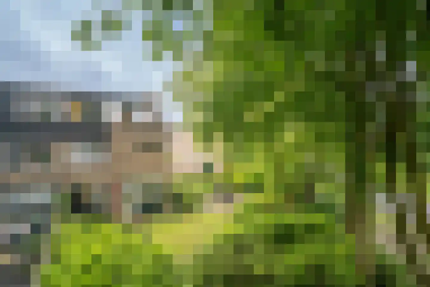 Bretelerhorst 7 Enschede thumbnail 4